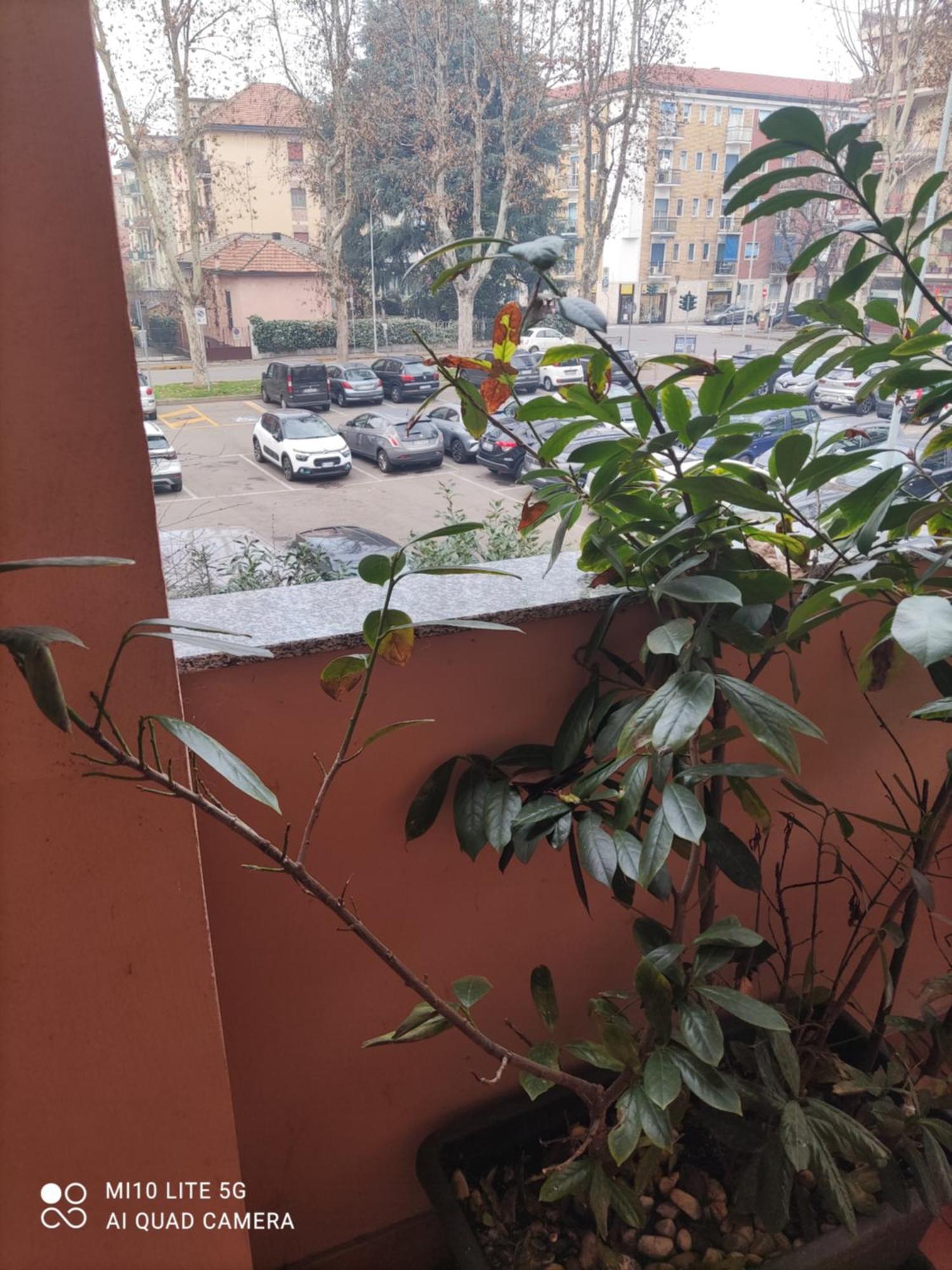 Hostal D'Annunzio House سيسانو بوسكون المظهر الخارجي الصورة