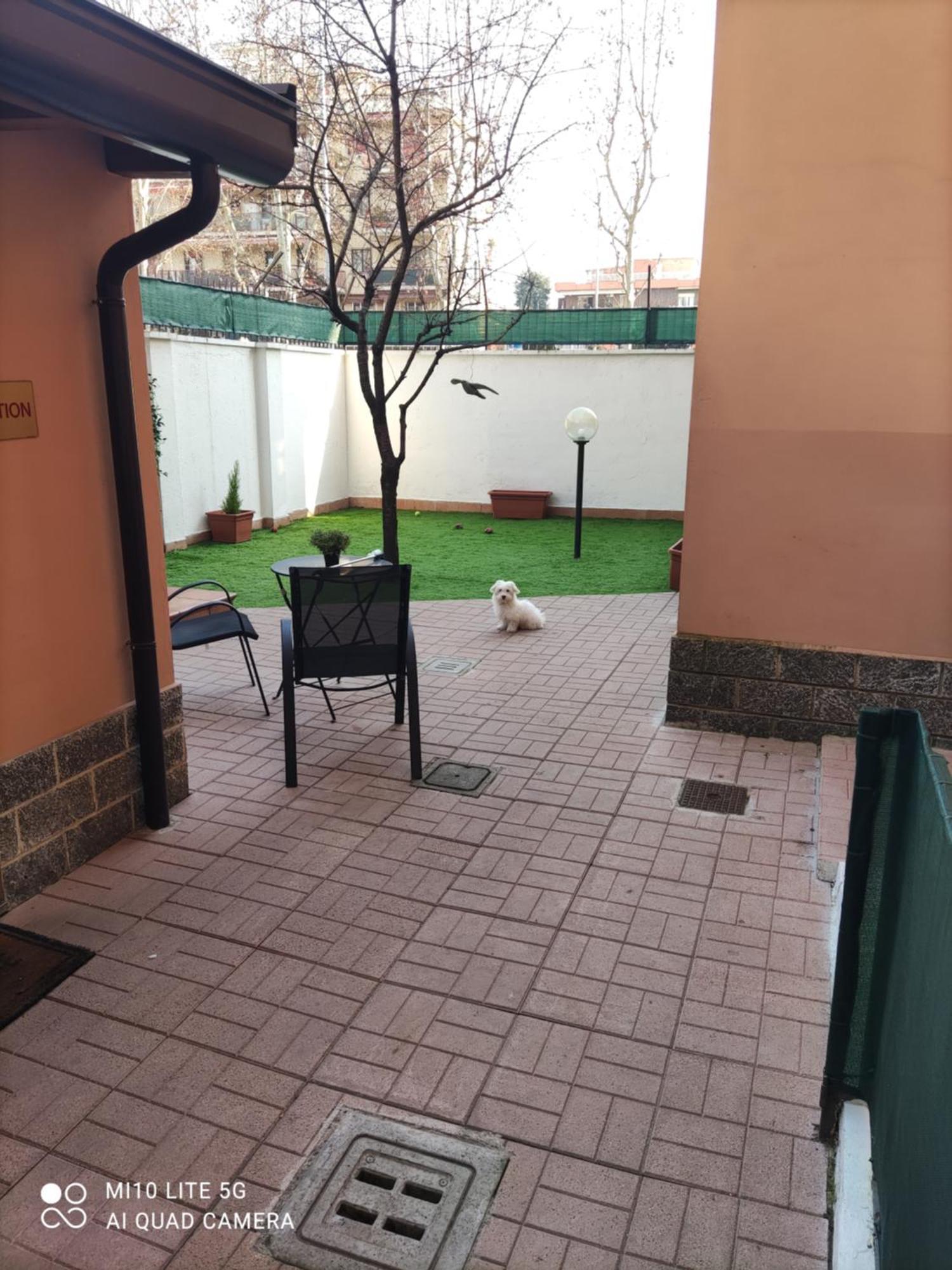 Hostal D'Annunzio House سيسانو بوسكون المظهر الخارجي الصورة